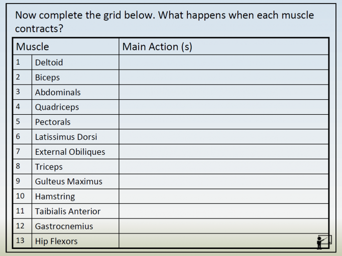 New Specification Ks4 Gcse Pe Muscular System Powerpoint And Worksheet Resources Teachwire Teaching Resource