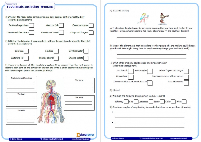 science worksheet a full index of all math ela spelling phonics