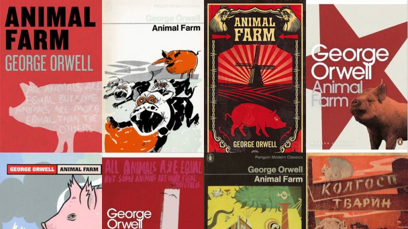 Different cover versions of Animal Farm, a book students can study at GCSE