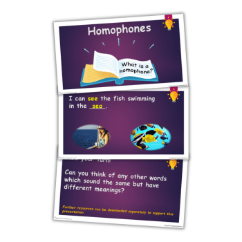 Homophones examples PowerPoint