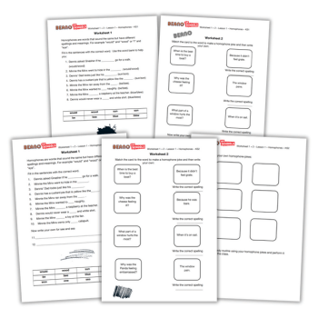 Homophones worksheet