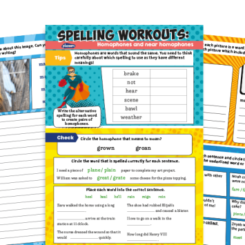 Homophones worksheets