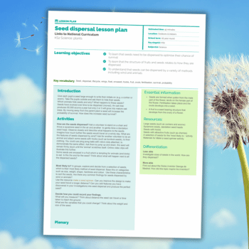 Seed dispersal KS2 RHS science lesson plan