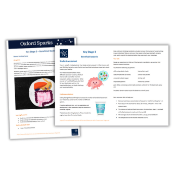 Bacteria KS3 resources