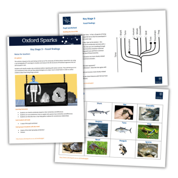 Evolutionary tree KS3 fossils science lesson plan