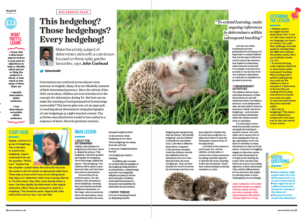 KS2 Literacy Lesson Plan – Use Cute Hedgehogs to Teach Children about