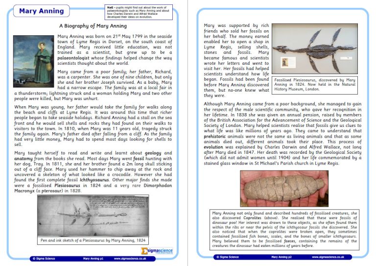 main features of a biography ks2