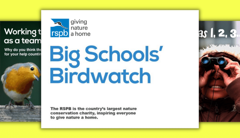 Big Schools Birdwatch 2024 Resources For Schools Teachwire   Big Schools Birdwatch Introductory PowerPoint 768x443 