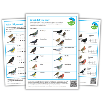 RSPB Birdwatch counting sheets