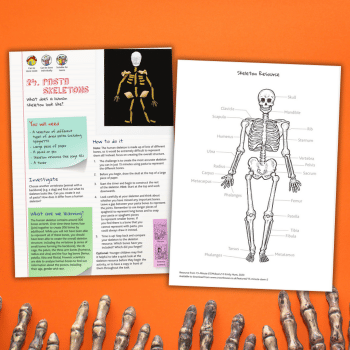 Pasta skeleton resource