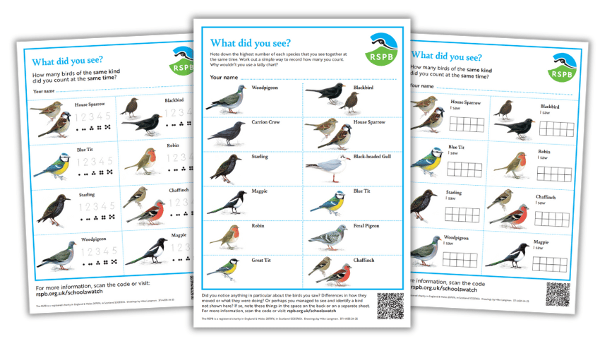 RSPB Birdwatch sheets