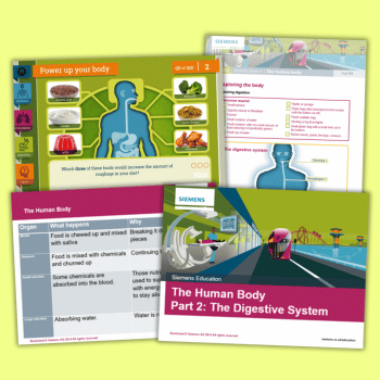 Digestive system KS2 resources