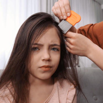 Parent combing girl's hair with nit comb, representing head lice in schools