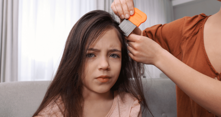 Parent combing girl's hair with nit comb, representing head lice in schools