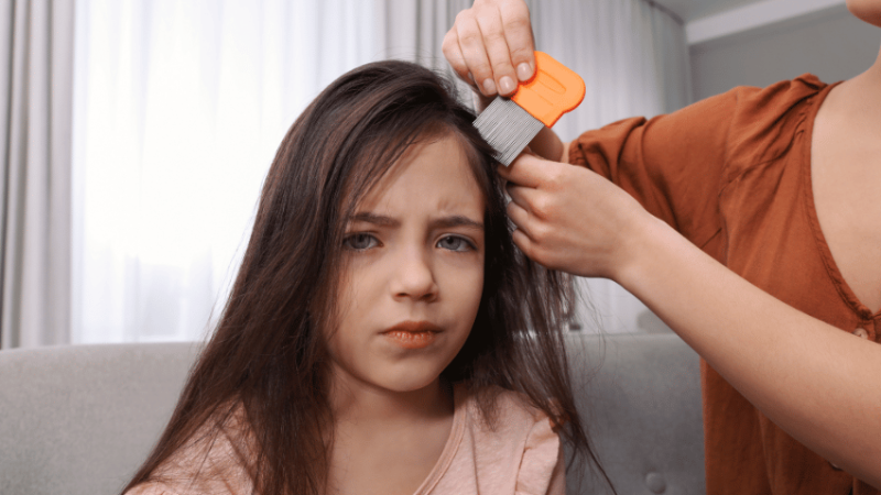 Parent combing girl's hair with nit comb, representing head lice in schools