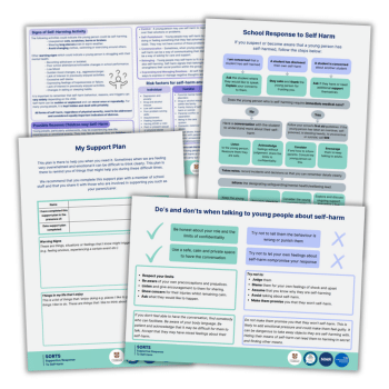 Self harm support for teachers and schools